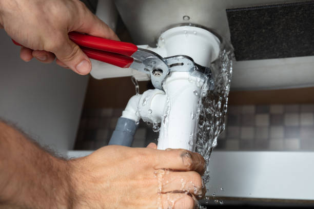 Best Mold removal after water damage  in Richwood, WV