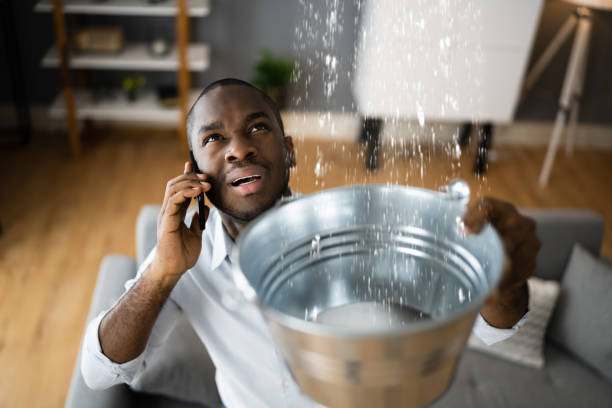 Best Water damage restoration company  in Richwood, WV