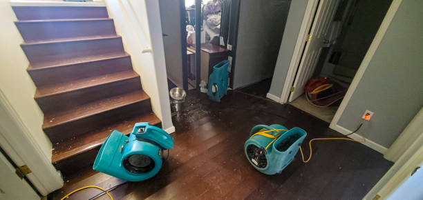 Best Commercial water damage restoration  in Richwood, WV