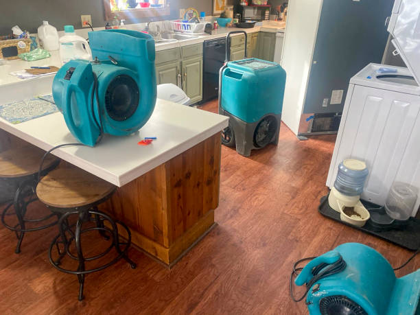 Best Water damage cleanup near me  in Richwood, WV