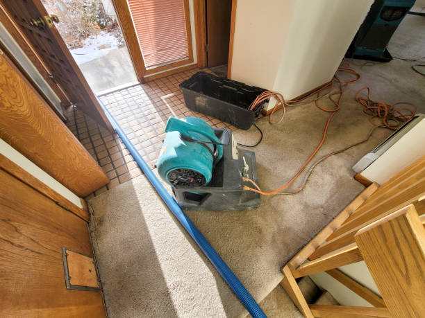 Best Carpet water damage restoration  in Richwood, WV