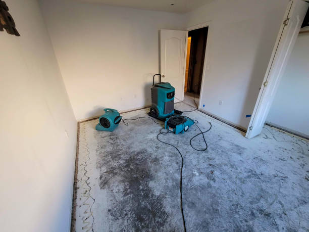 Best Commercial water damage restoration  in Richwood, WV