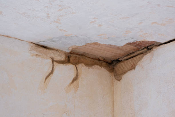 Best Water damage repair service  in Richwood, WV