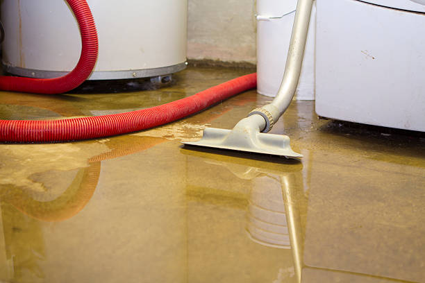 Best Ceiling water damage repair  in Richwood, WV