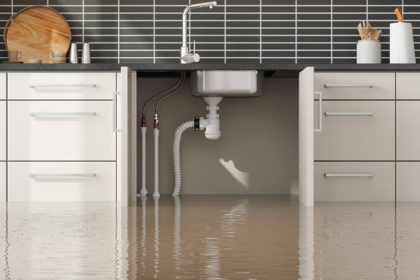 Best Flooded house restoration  in Richwood, WV