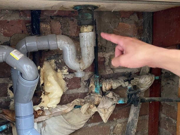 Best Water damage restoration insurance claims  in Richwood, WV
