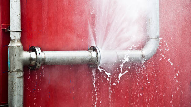Best Emergency water damage restoration  in Richwood, WV