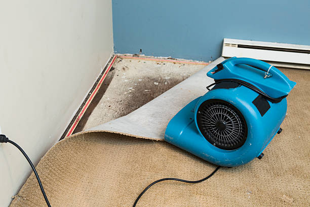 Best Sewage cleanup and water damage restoration  in Richwood, WV